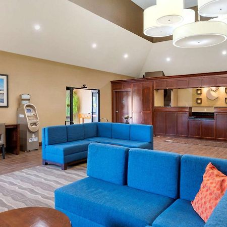 Comfort Inn & Suites Cincinnati Eastgate Exteriör bild
