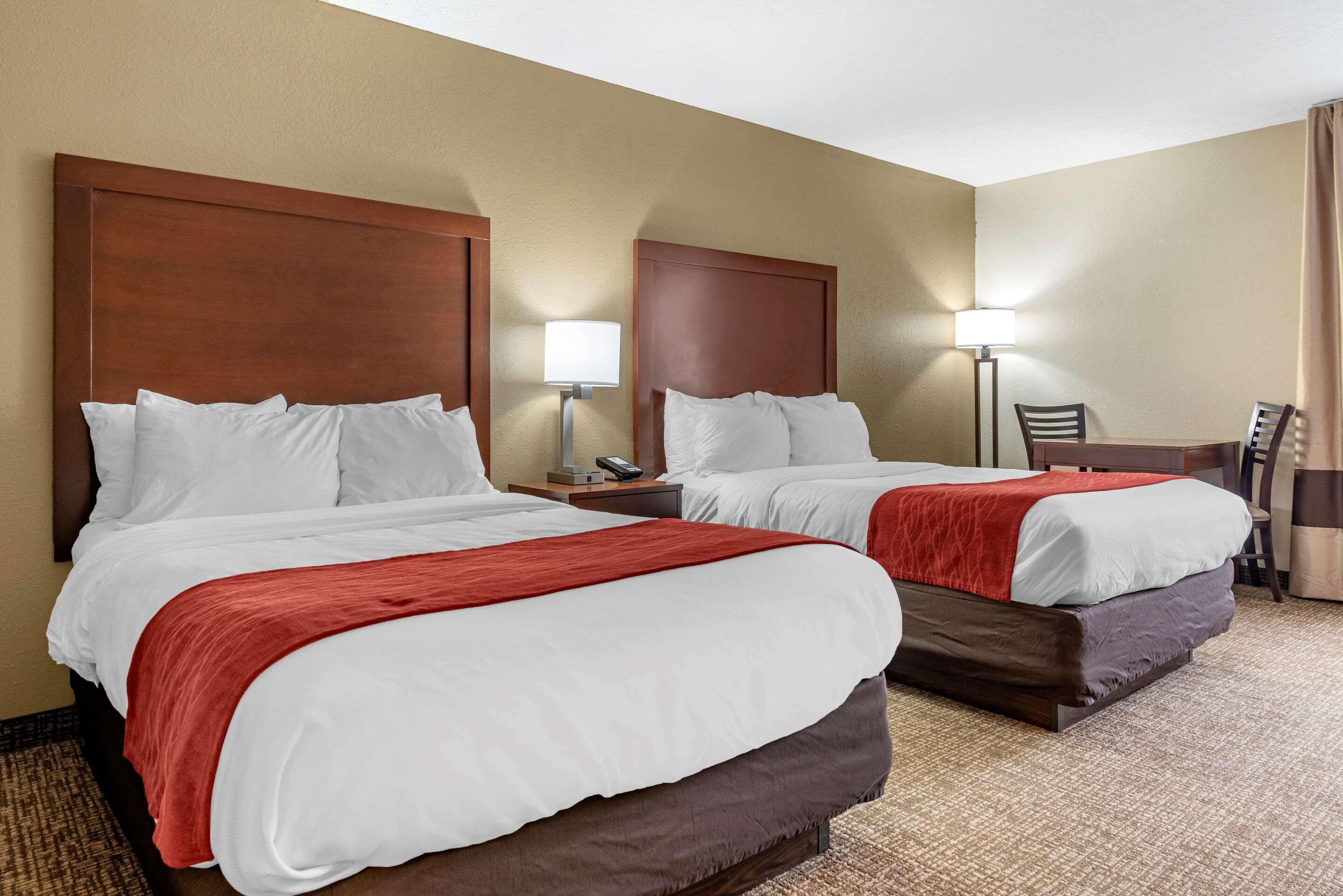 Comfort Inn & Suites Cincinnati Eastgate Exteriör bild
