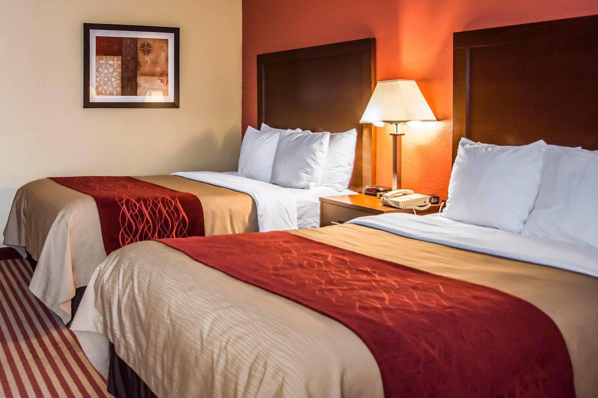 Comfort Inn & Suites Cincinnati Eastgate Exteriör bild